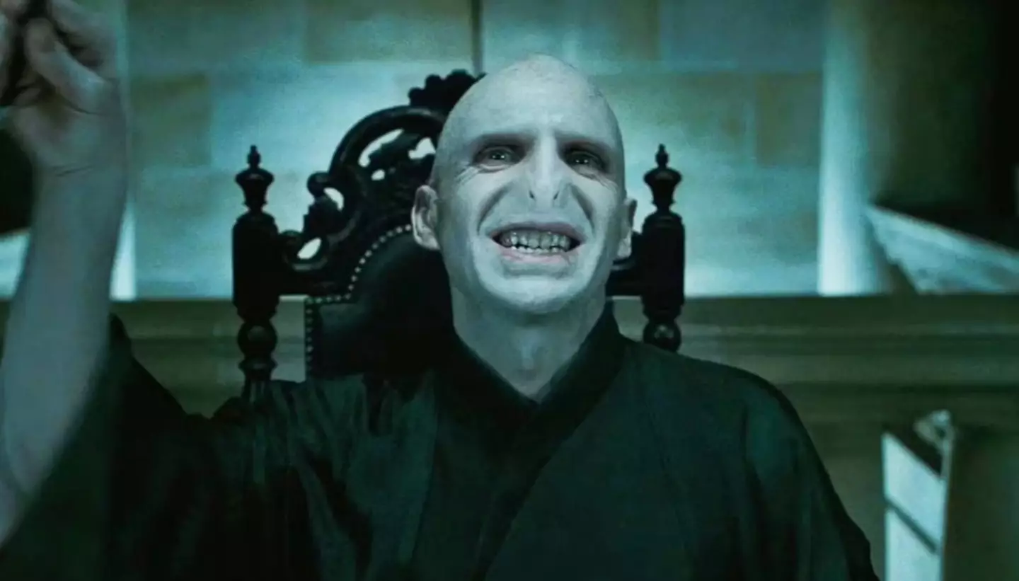 The person who will play Voldemort in the HBO series has not yet been revealed (Warner Bros)