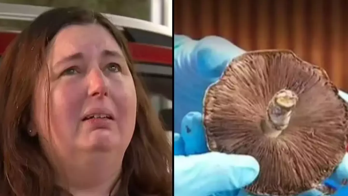 Woman who cooked poisonous mushroom lunch suspected of killing three people pleads innocence
