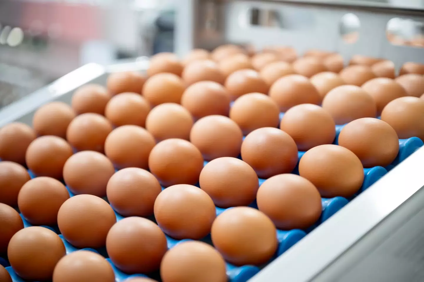 Jordan noted the difference in eggs (Getty Stock Images)