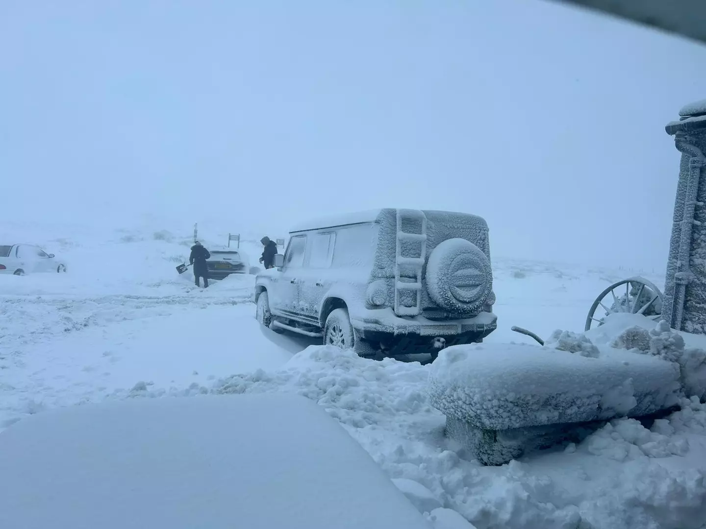 The guests had no way to get home (SWNS)