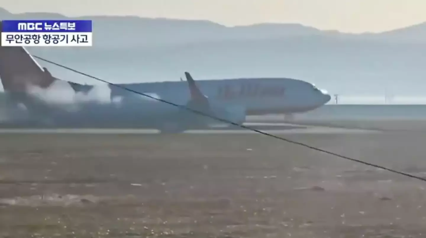 The plane made an emergency landing at an airport in the South Korean town of Muan (Twitter)