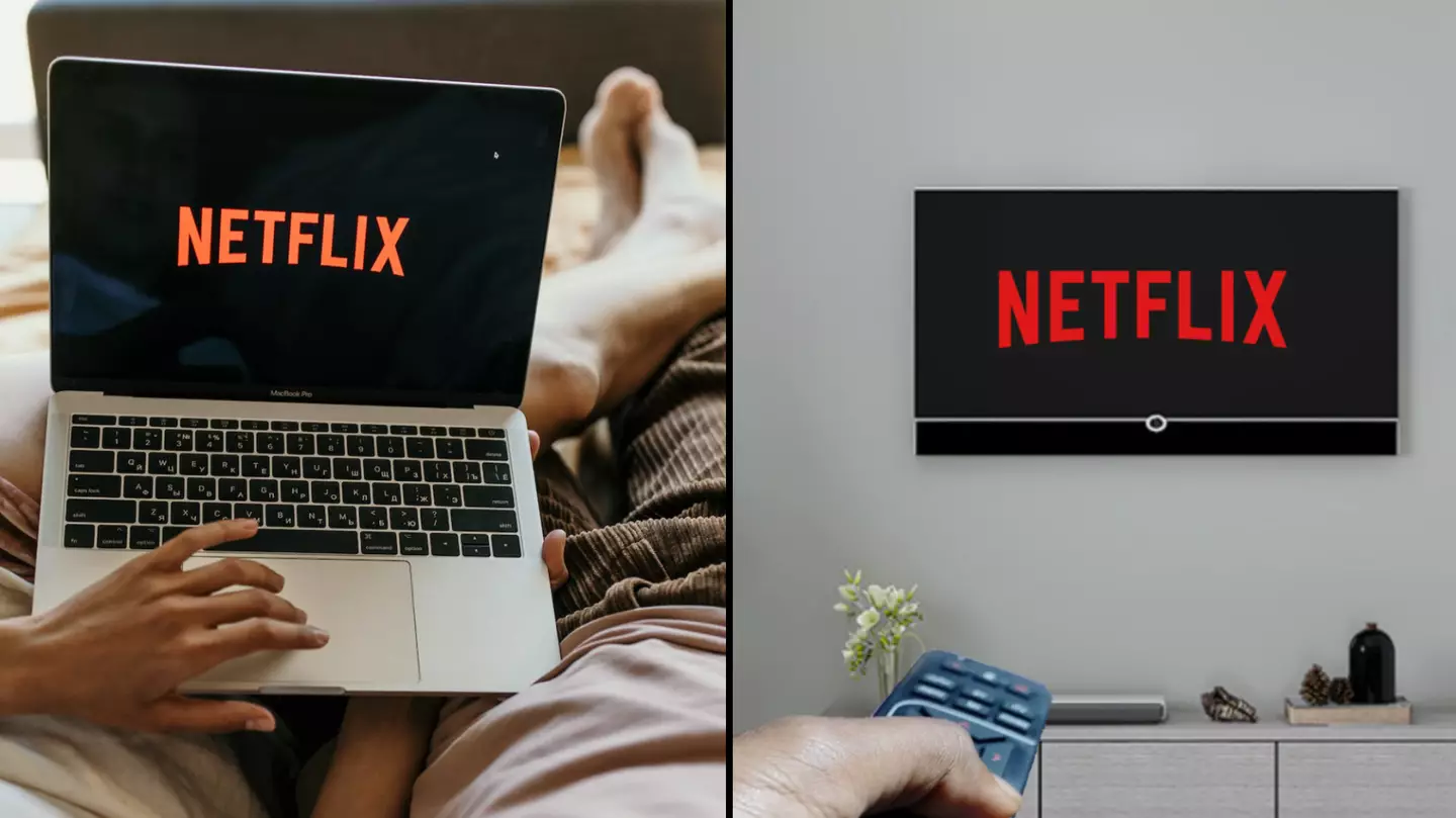 Netflix boss says millions are using a cheaper alternative account