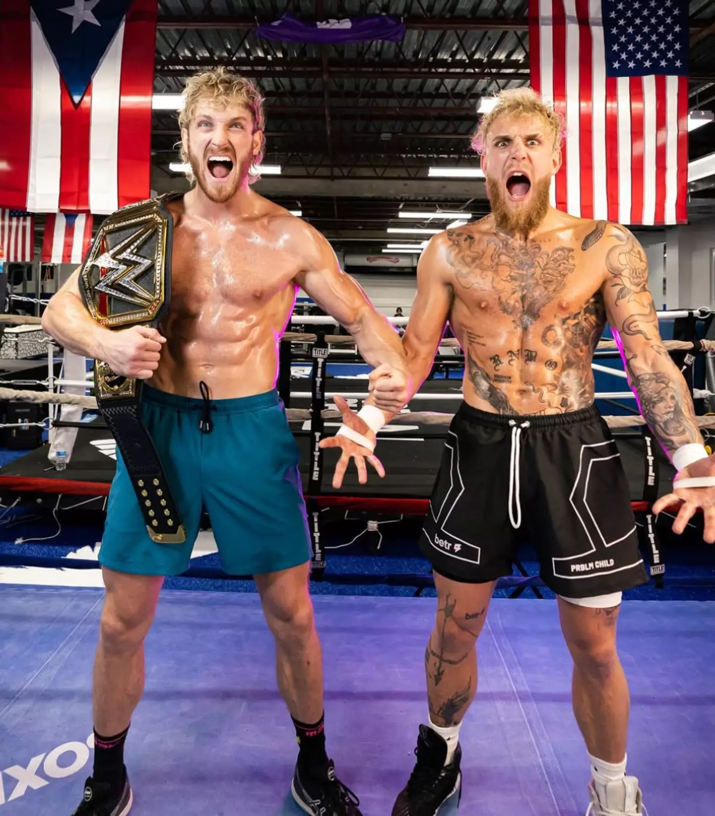Both Jake and Logan Paul have achieved impressive feats in the boxing ring (Instagram/Jake Paul)