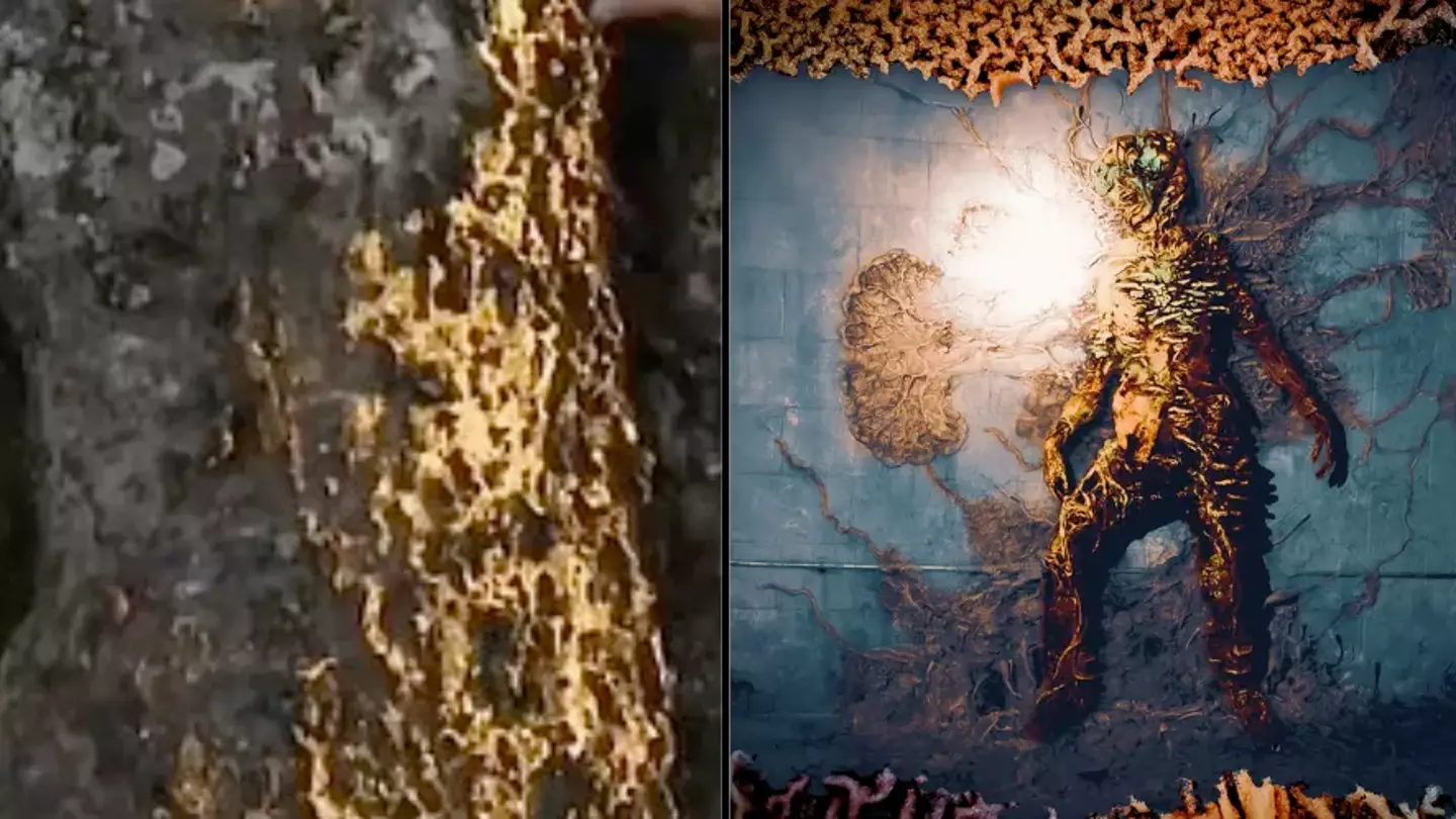 The Last Of Us-style fungus fed by Jack Daniel's whiskey has taken over entire town