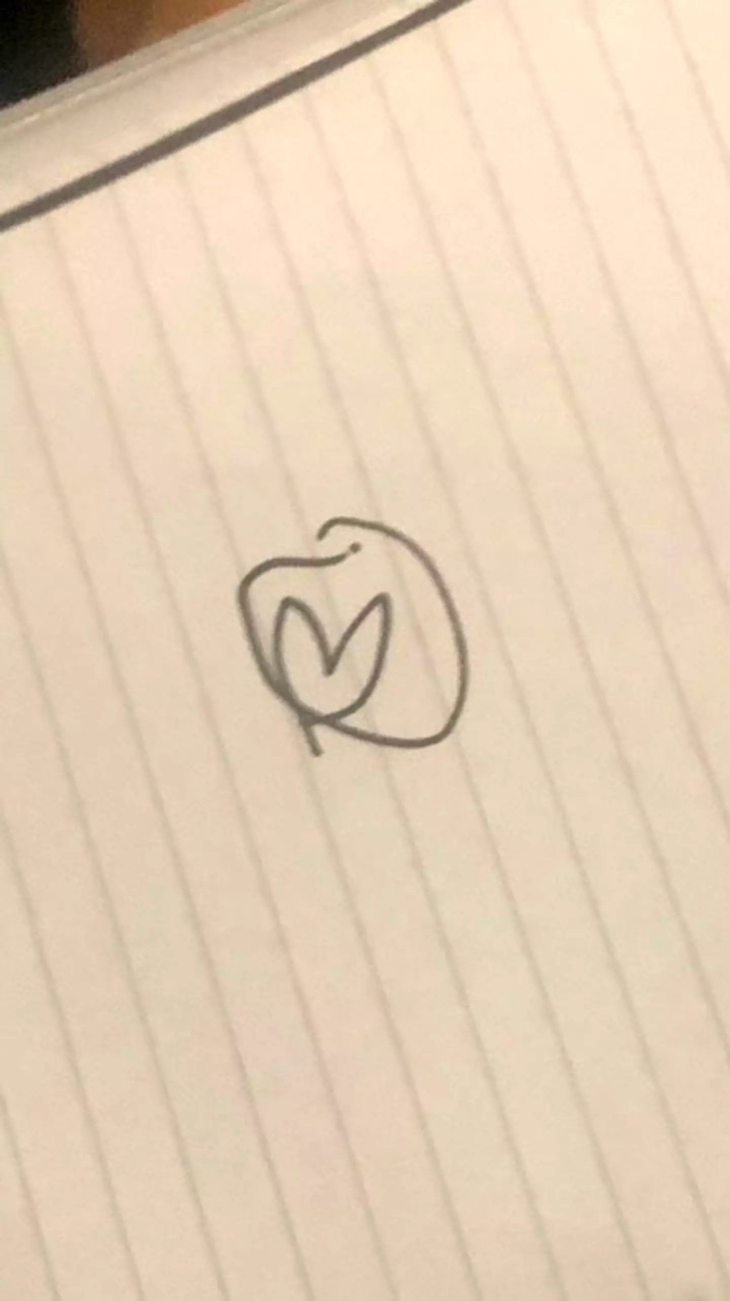 Not the most accurate design but to be fair it was done mid-gig.