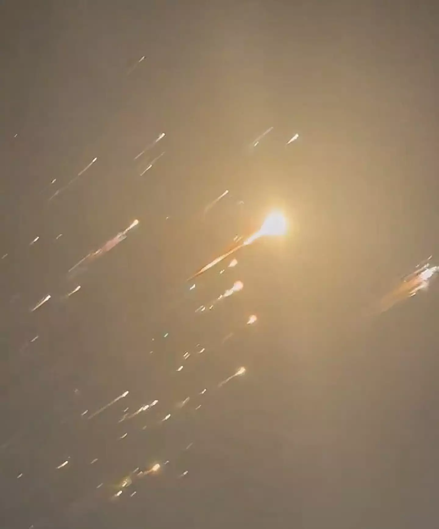 Elon Musk has commented on the incident (X)