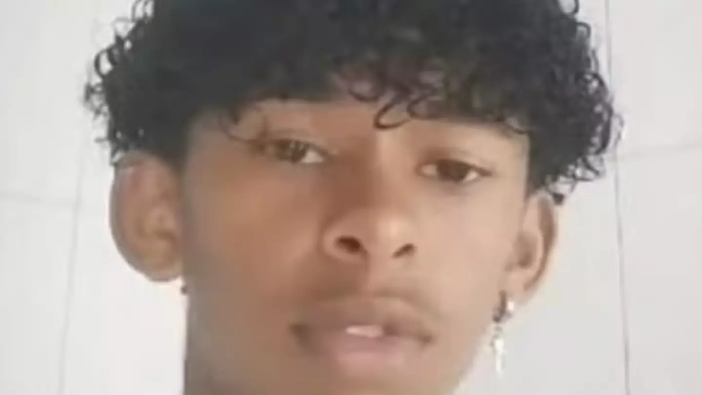 Boy, 14, dies after 'injecting himself with butterfly remains' as police probe online 'challenge'