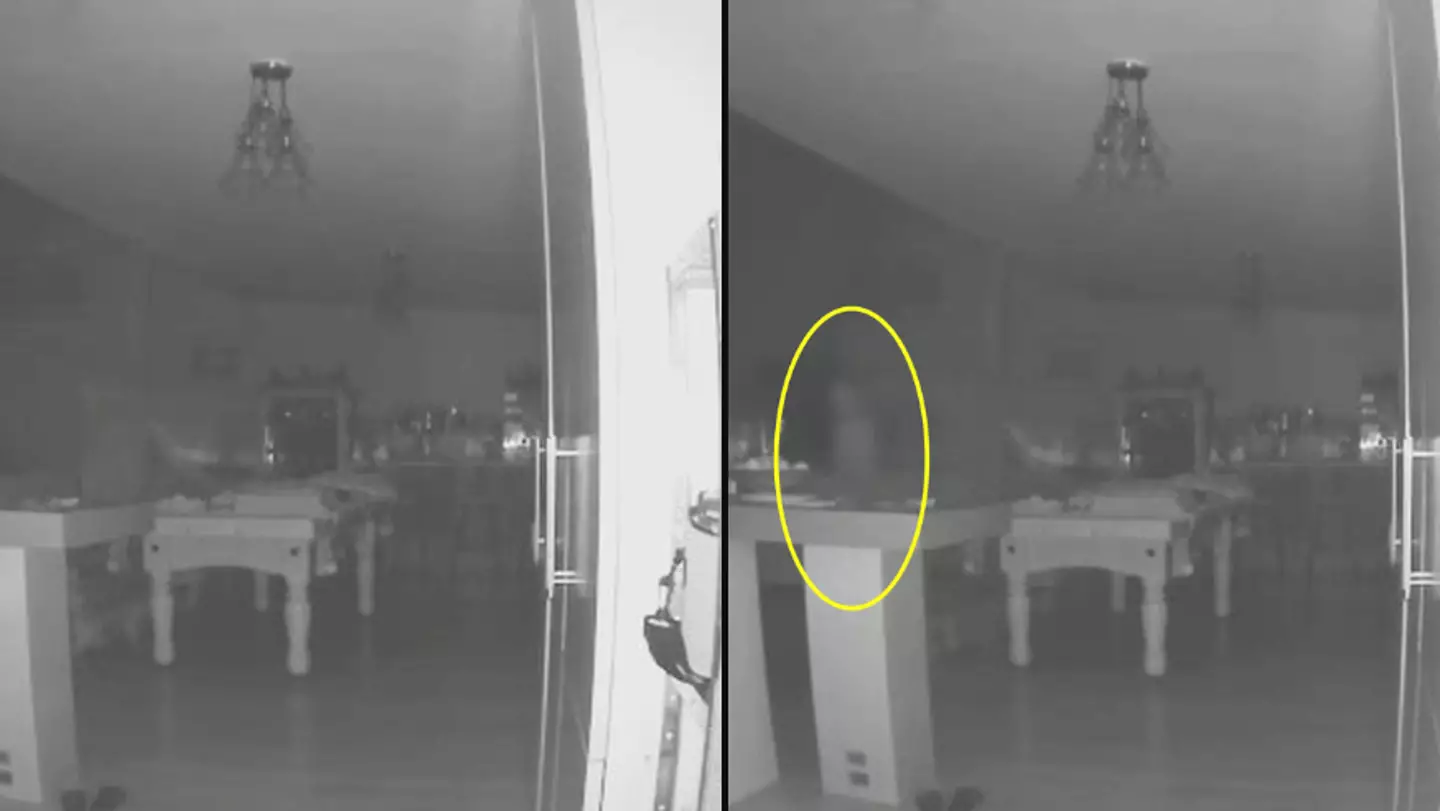 Couple scared by footage of 'ghost family member' walking their dog