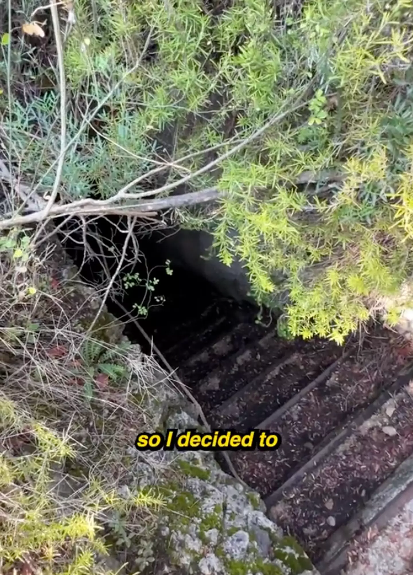 He explored the ominous tunnel alone (TikTok/joshtheintern)