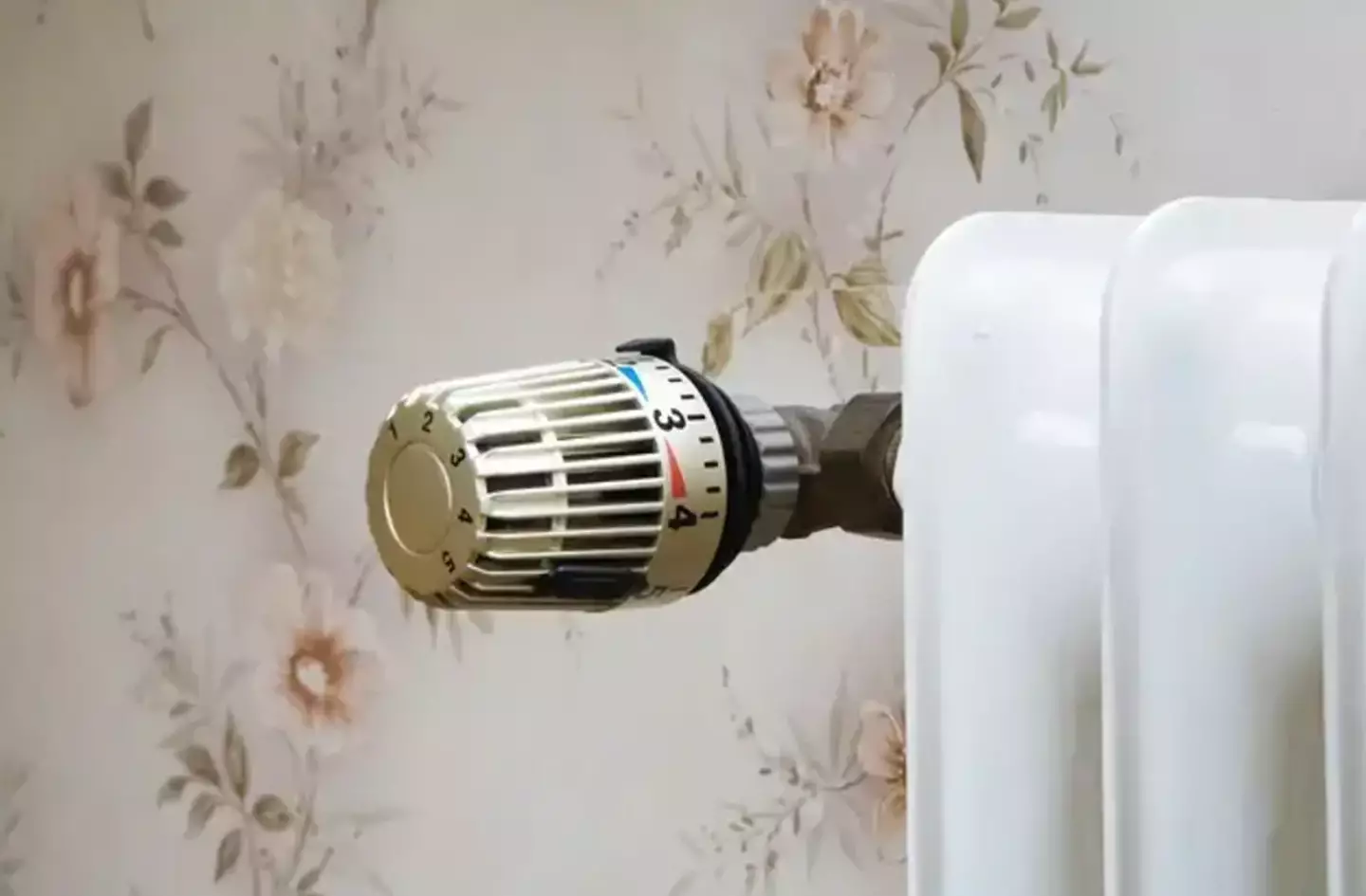 Energy prices have soared over the past year.