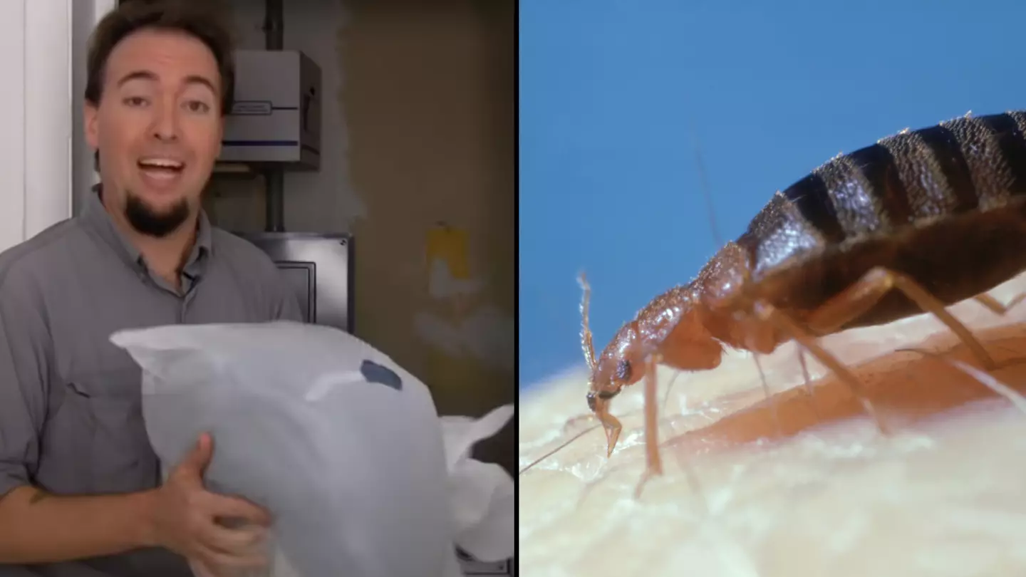 Man shows bag trick to kill bed bugs which get on your clothes