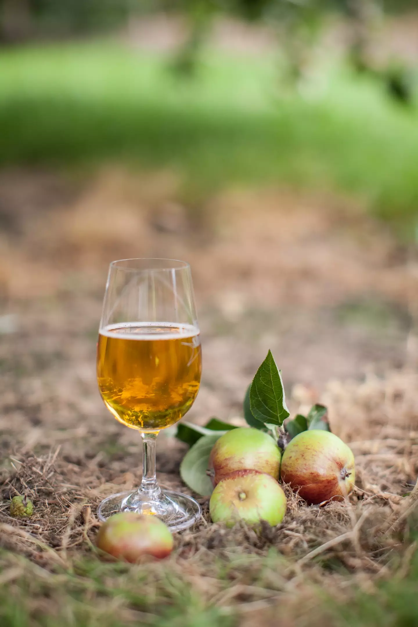 Who doesn't love a good cider on warm summer's day? Probably all of the people who ended up with one of Clarkson's exploding bottles.