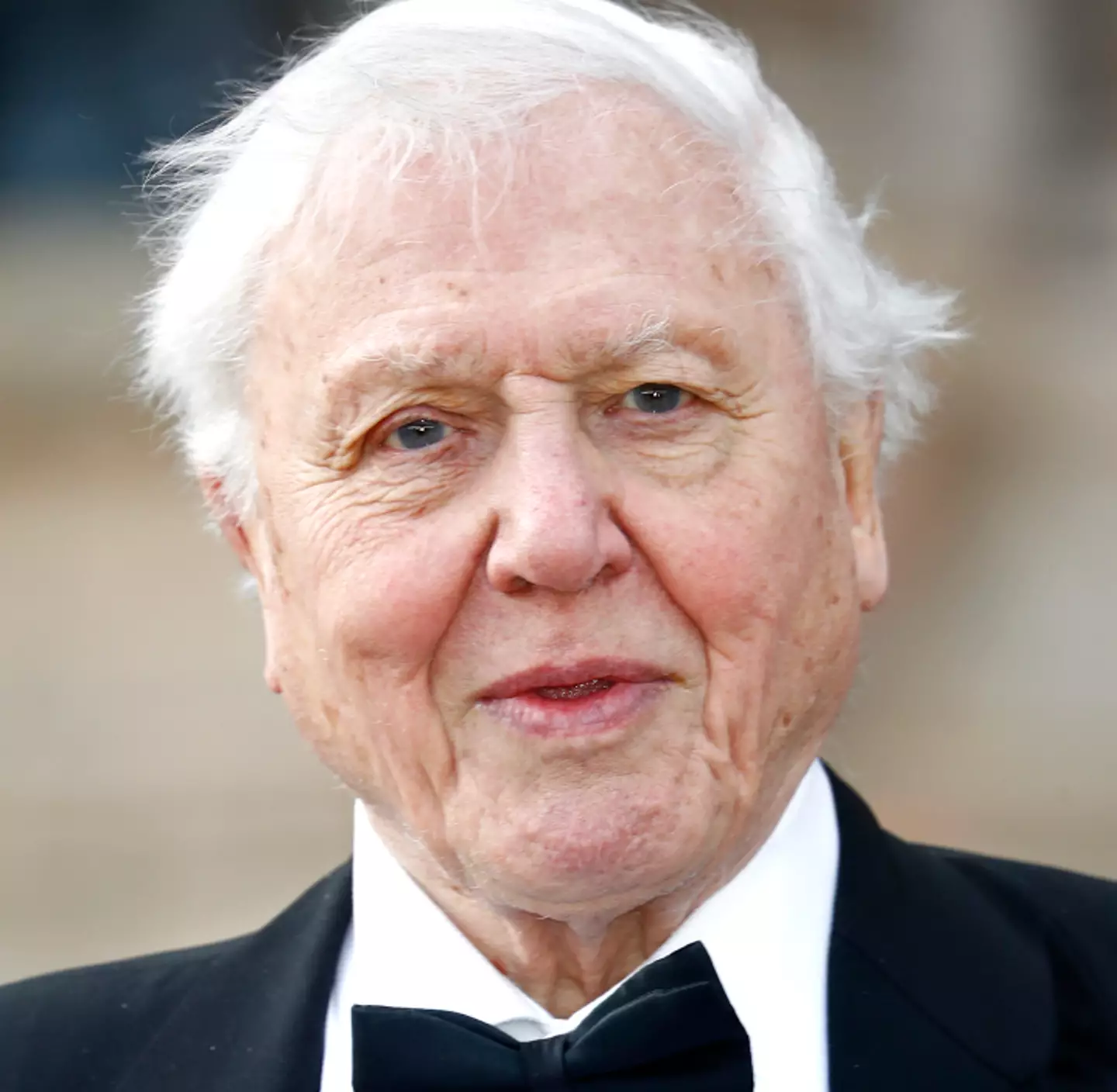 David Attenborough presented the first Planet Earth in 2006.
