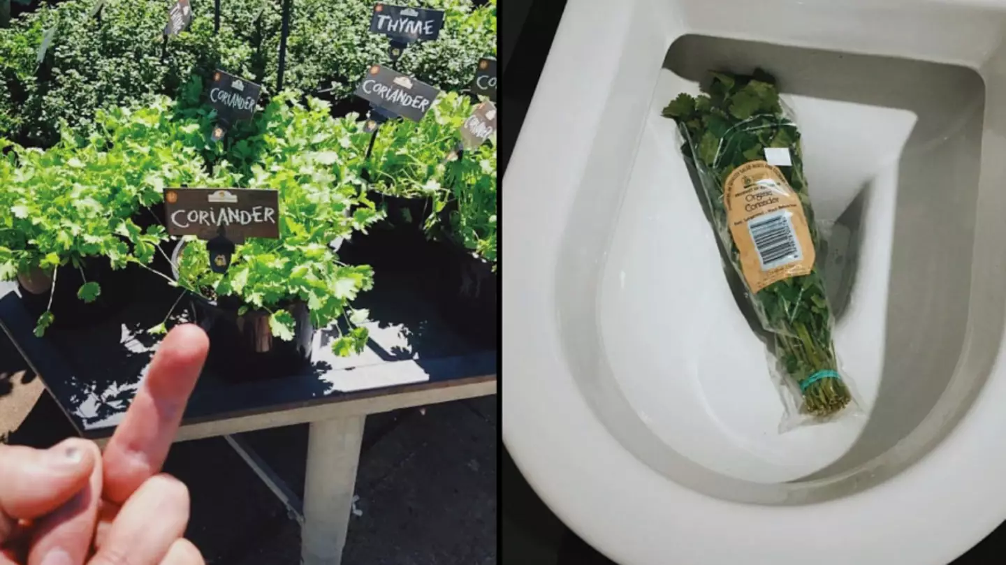 Credit: I Hate Coriander/Instagram
