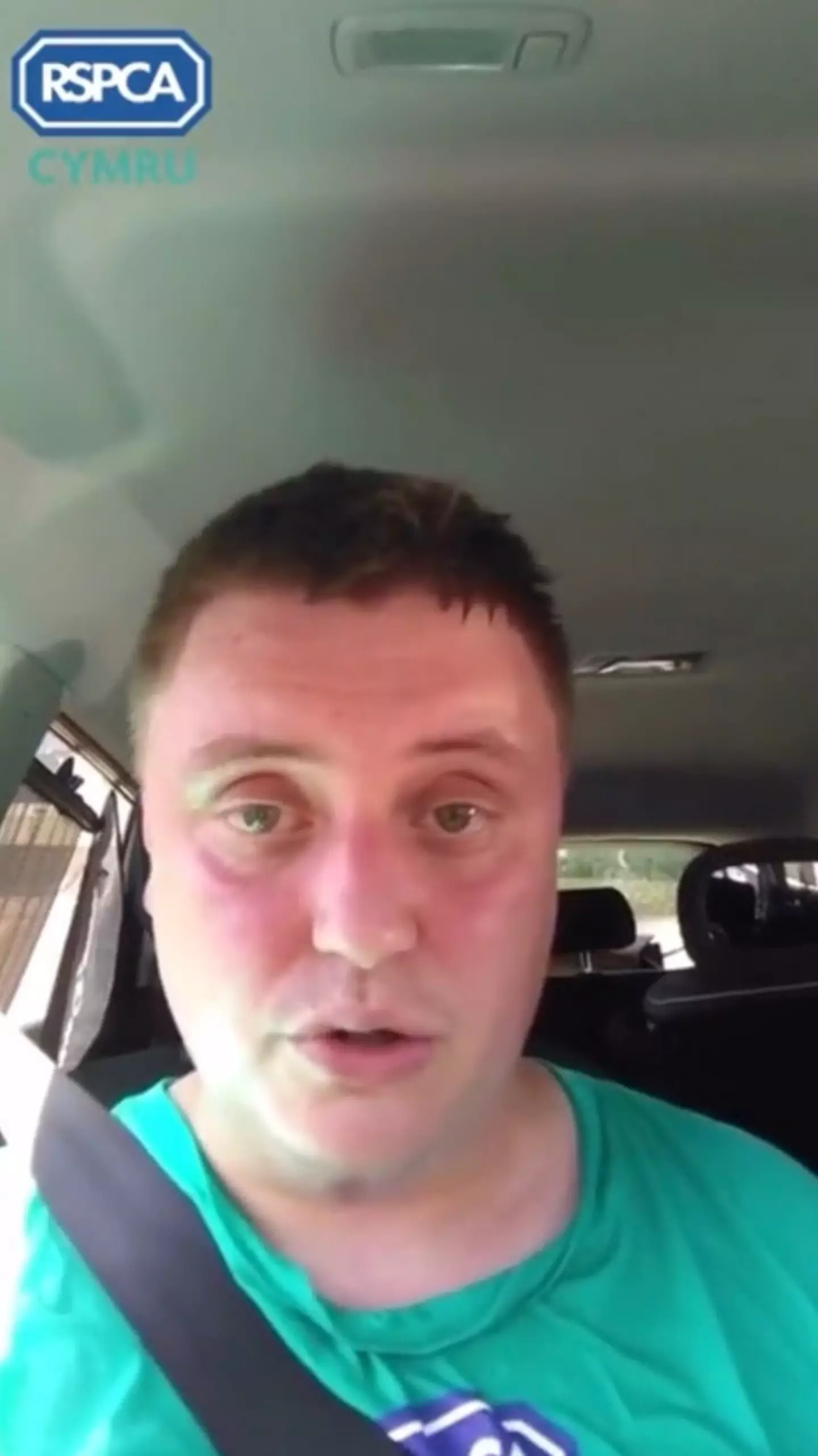 The RSPCA has shared a frightening video of what it's like to be a dog in a car on a hot day.