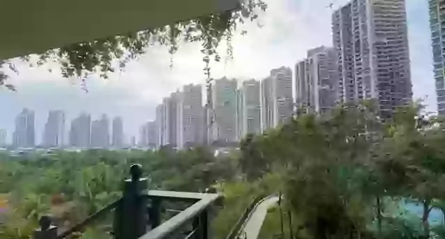 A view from one of the apartments (YouTube/Ben Morris)