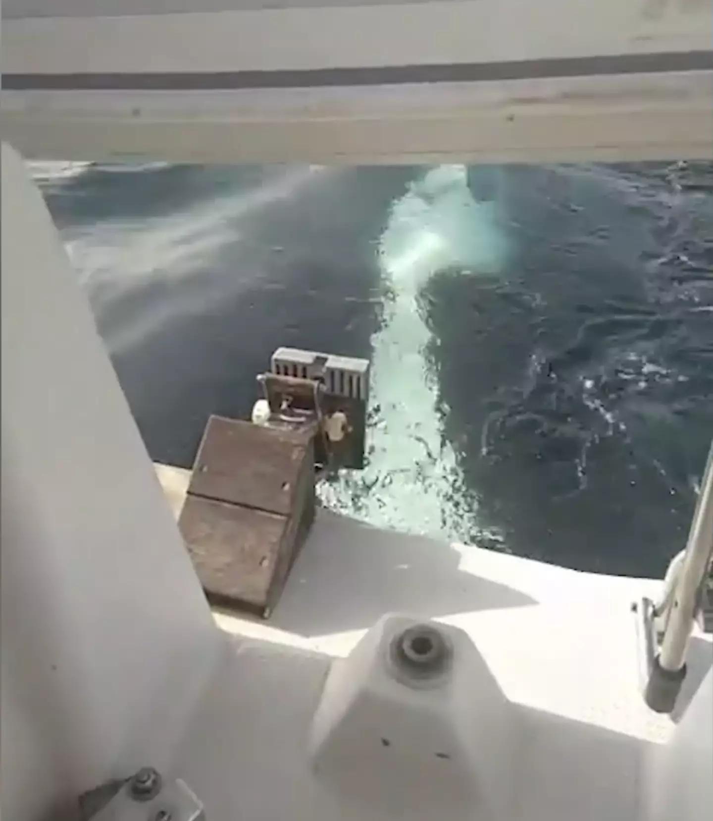 The sailor was forced to issue a Mayday distress alert.