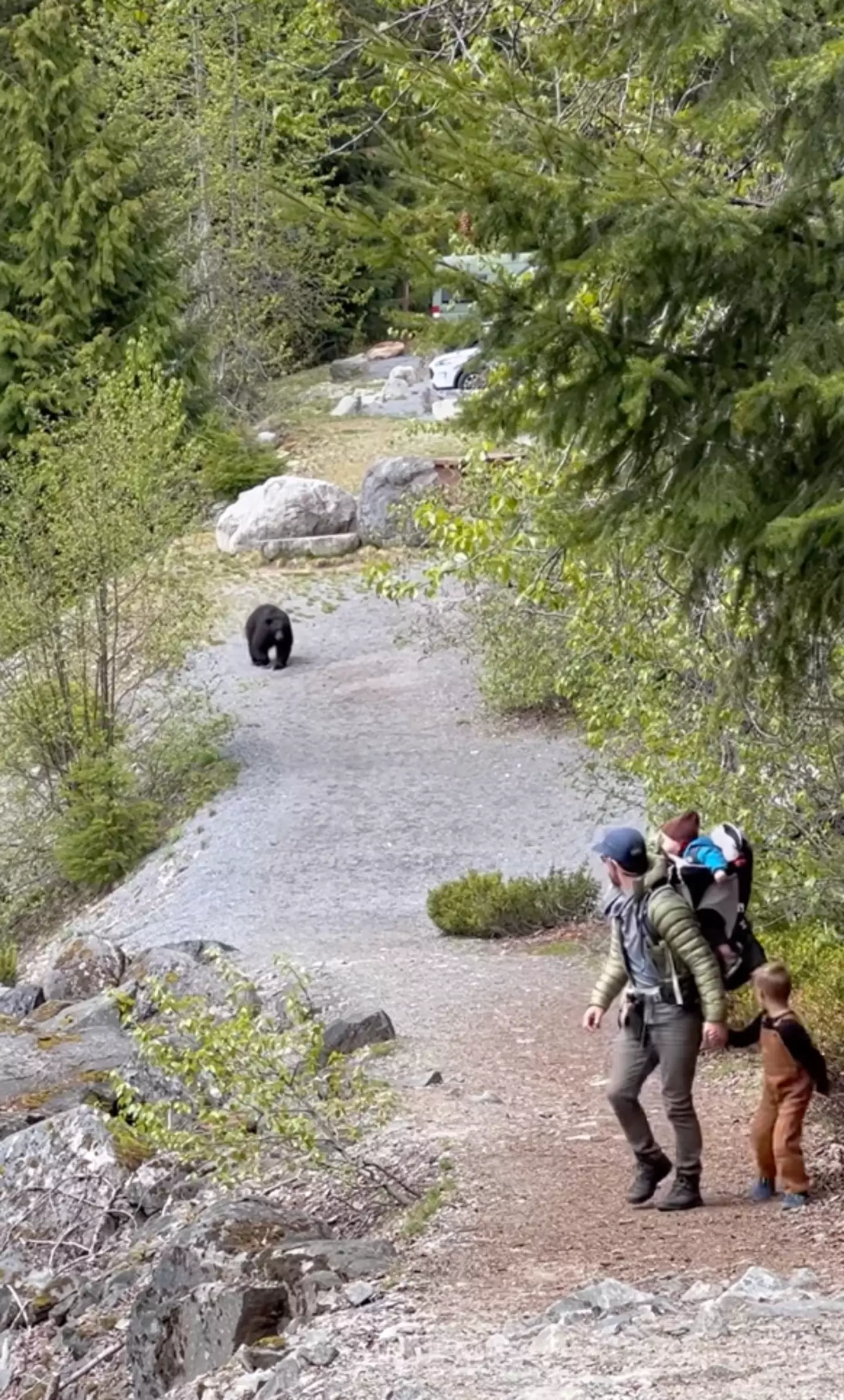 A lifestyle blogger has shared footage of her family’s nerve-shredding encounter with a black bear.