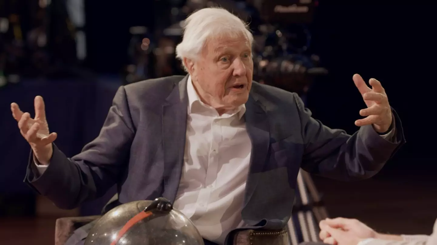 Sir David Attenborough told Prince William he 'couldn't breathe' (YouTube/The Prince and Princess of Wales)