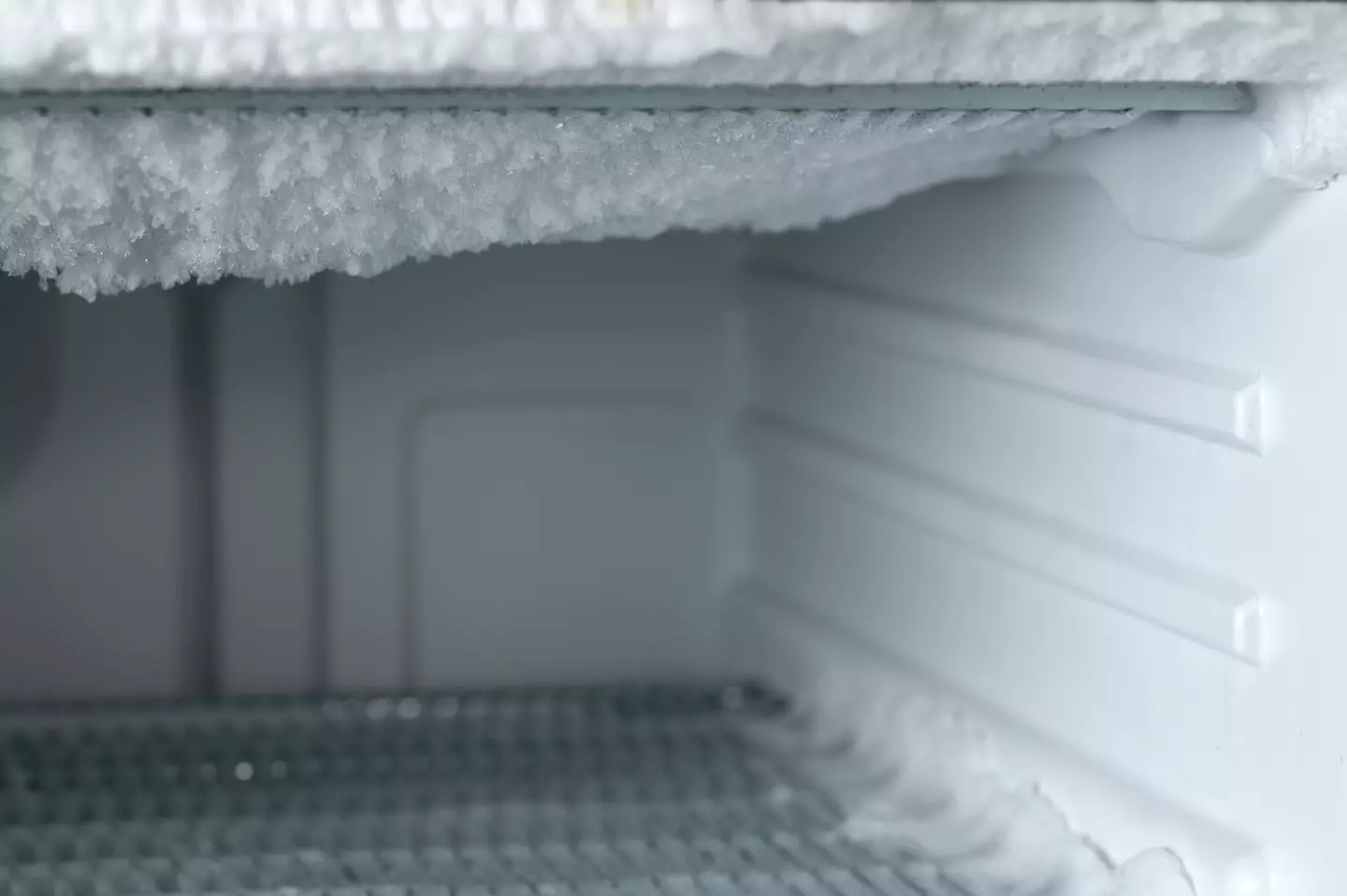 Do you defrost your freezer?
