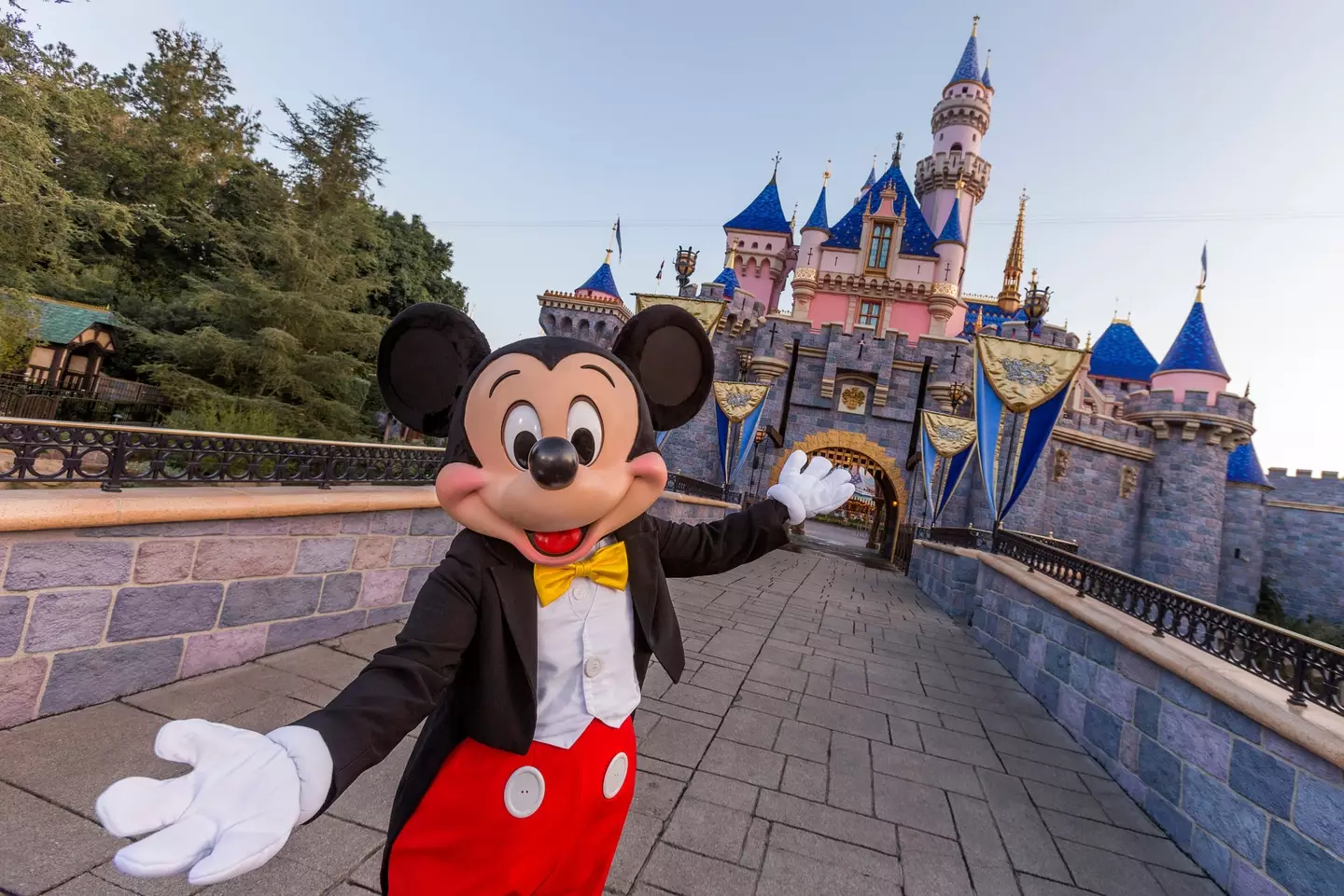 Friendly reminder that you're not the main character for everyone in the park (Joshua Sudock/Walt Disney World Resorts via Getty Images)