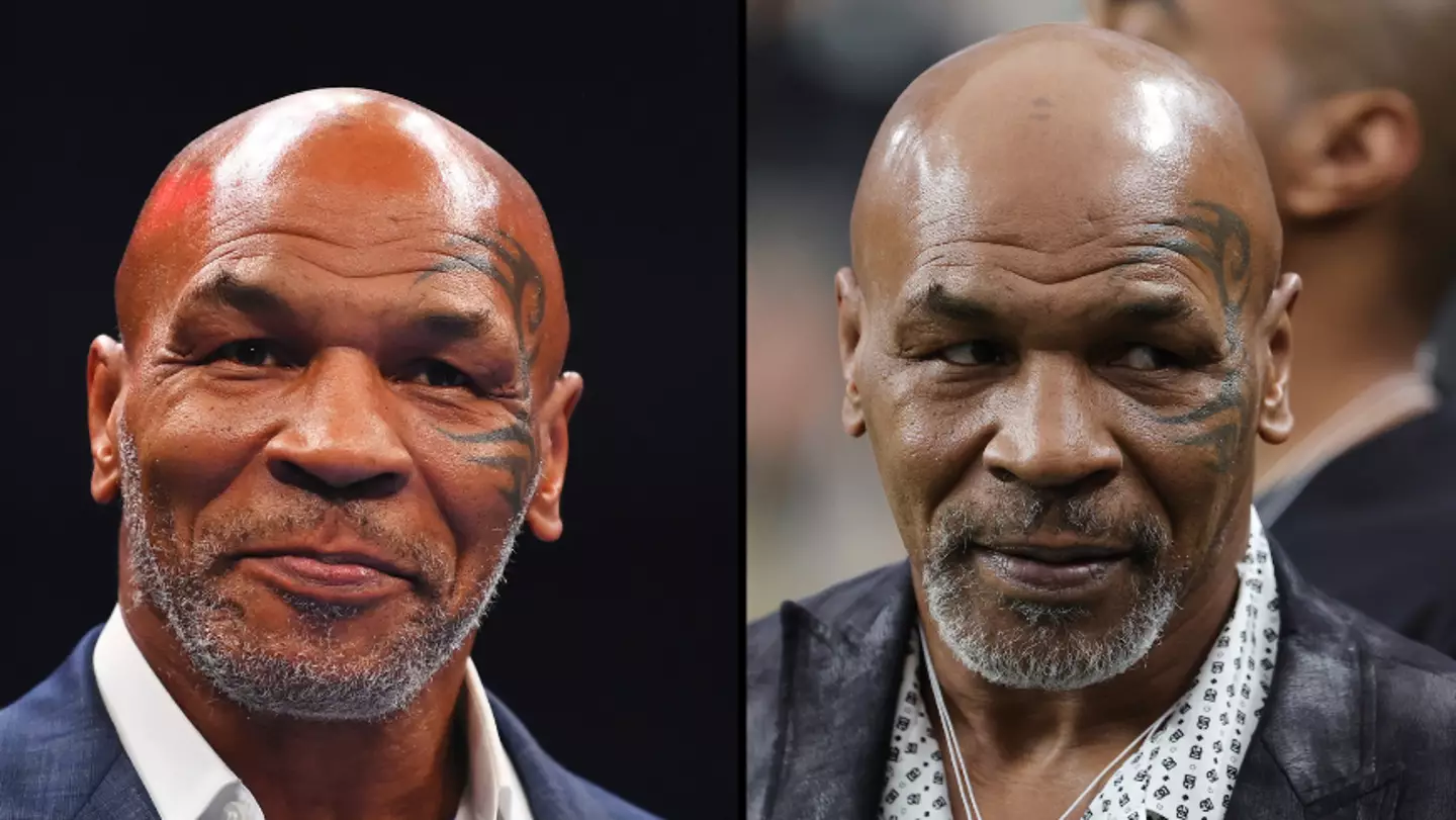 Plane passenger repeatedly punched by Mike Tyson has demanded a £350,000 payout