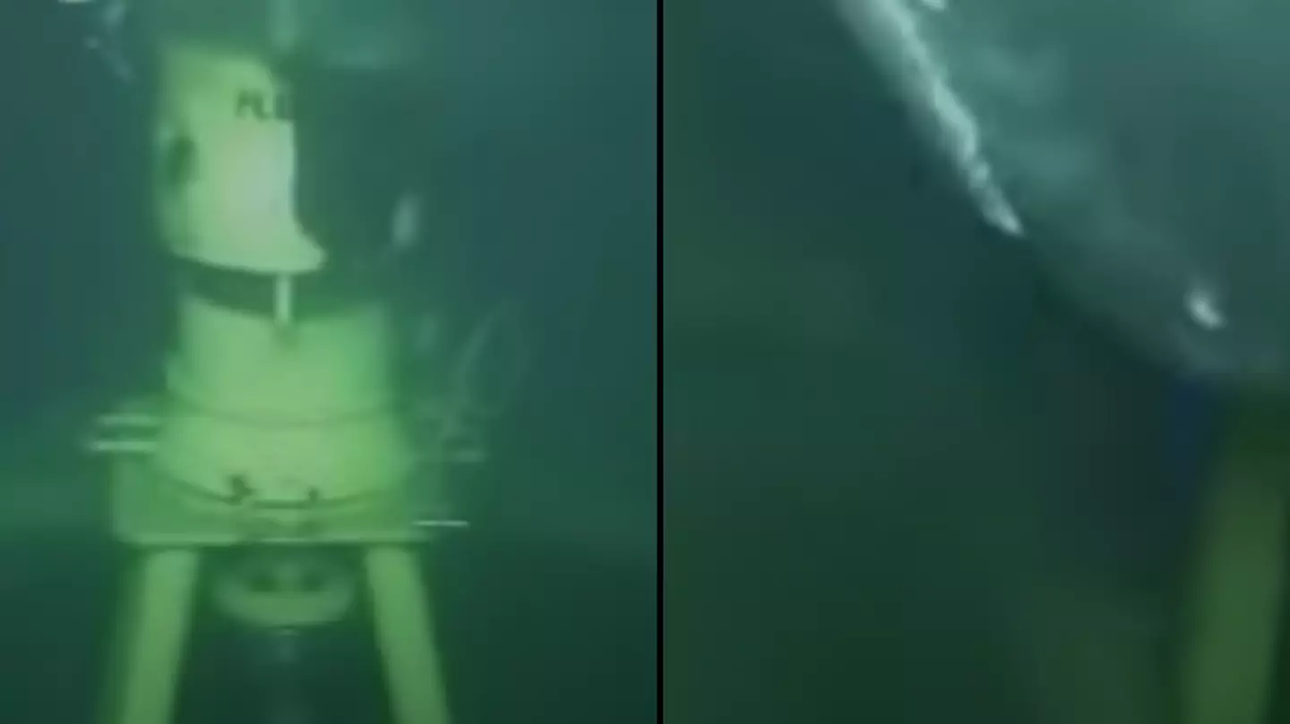 People reminded why they're 'terrified of deep water' after seeing what showed up in eerie underwater footage