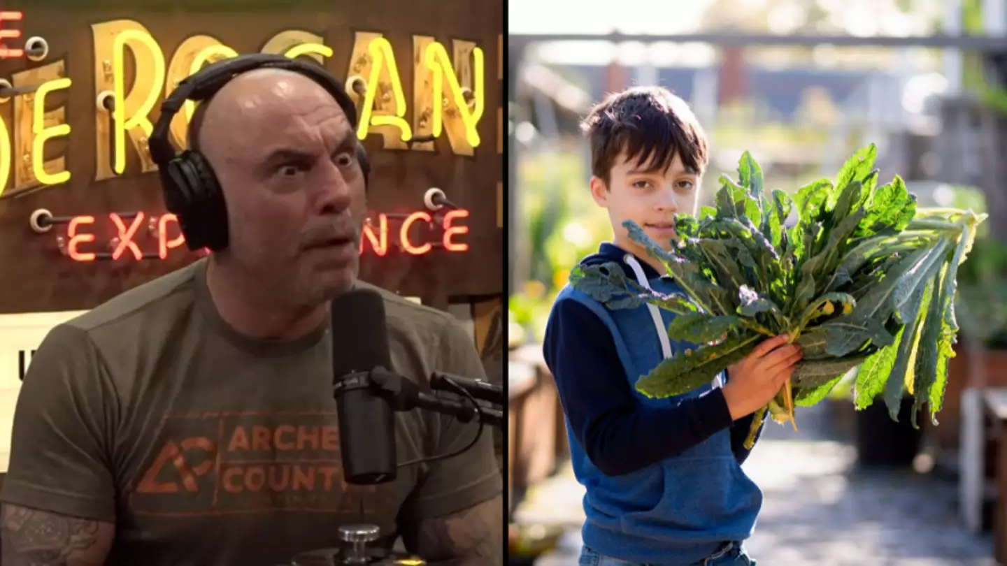 Reddit/Joe Rogan. Cultura Creative Ltd / Alamy Stock Photo.