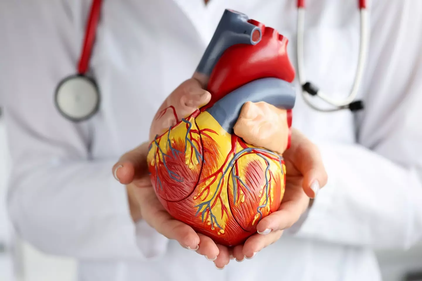 Lab grown organs (Ivan-balvan/Getty Stock Image)