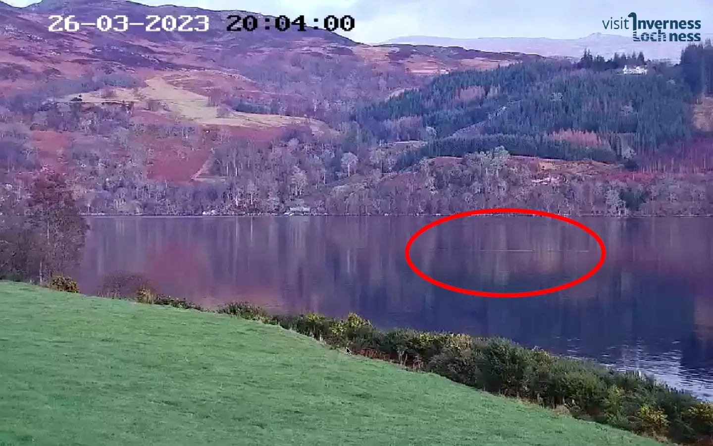 Can you see the mystery object?