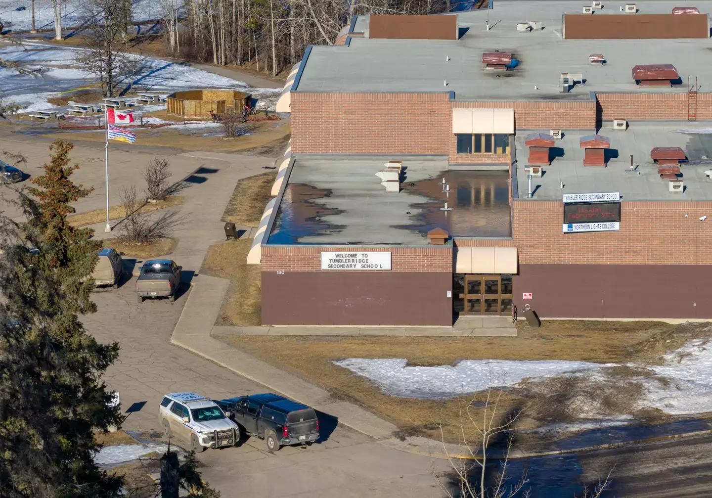 Officials have identified Jesse Van Rootselaar, 18, as the shooter (Eagle Vision Agency / AFP via Getty Images)