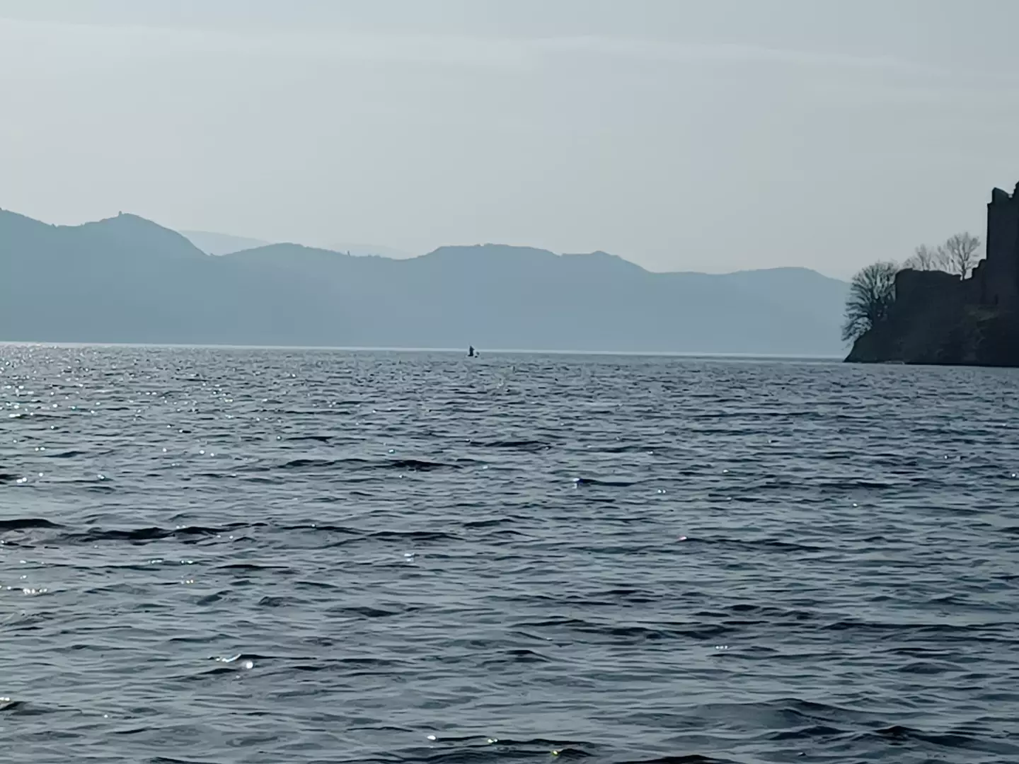 Richie said he can understand how paddle boarders could be mistaken for the creature.