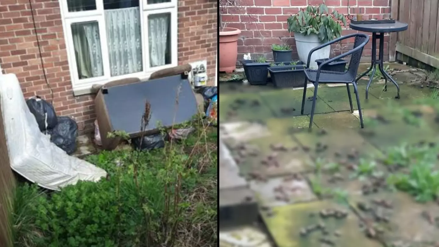 Homeowner fined £750 for letting dog poo in their own garden and leaving it