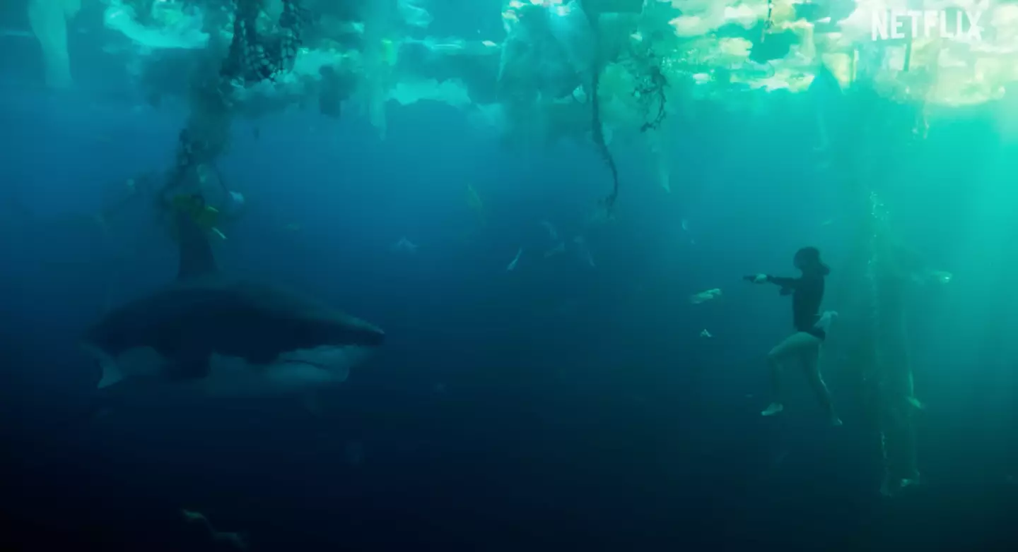 Some viewers were not impressed with the film's special effects. (Netflix)