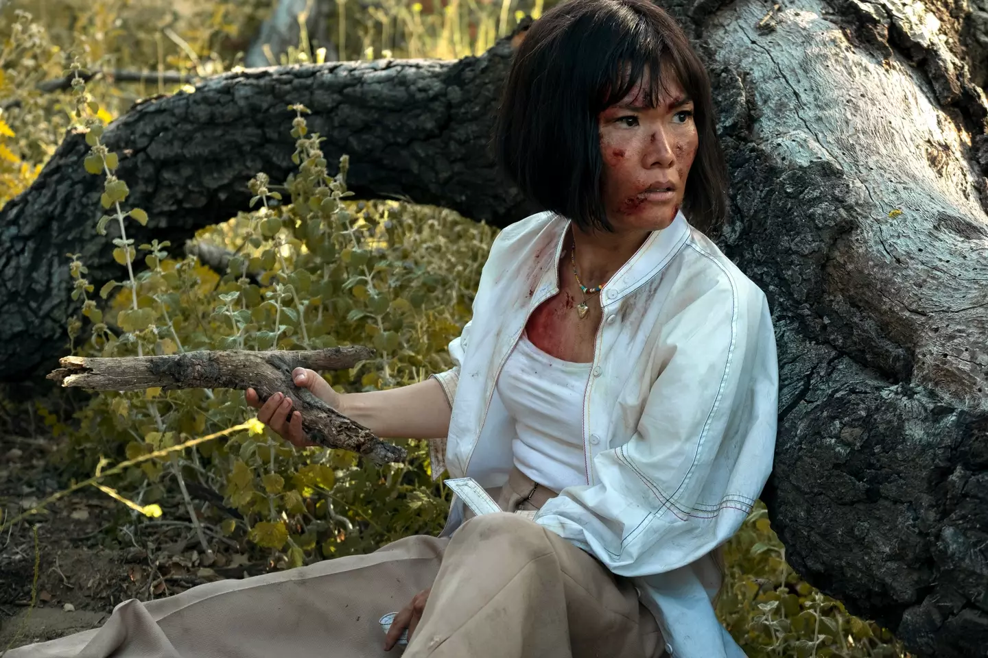 Ali Wong is a co-star alongside Steven Yeun (Netflix)