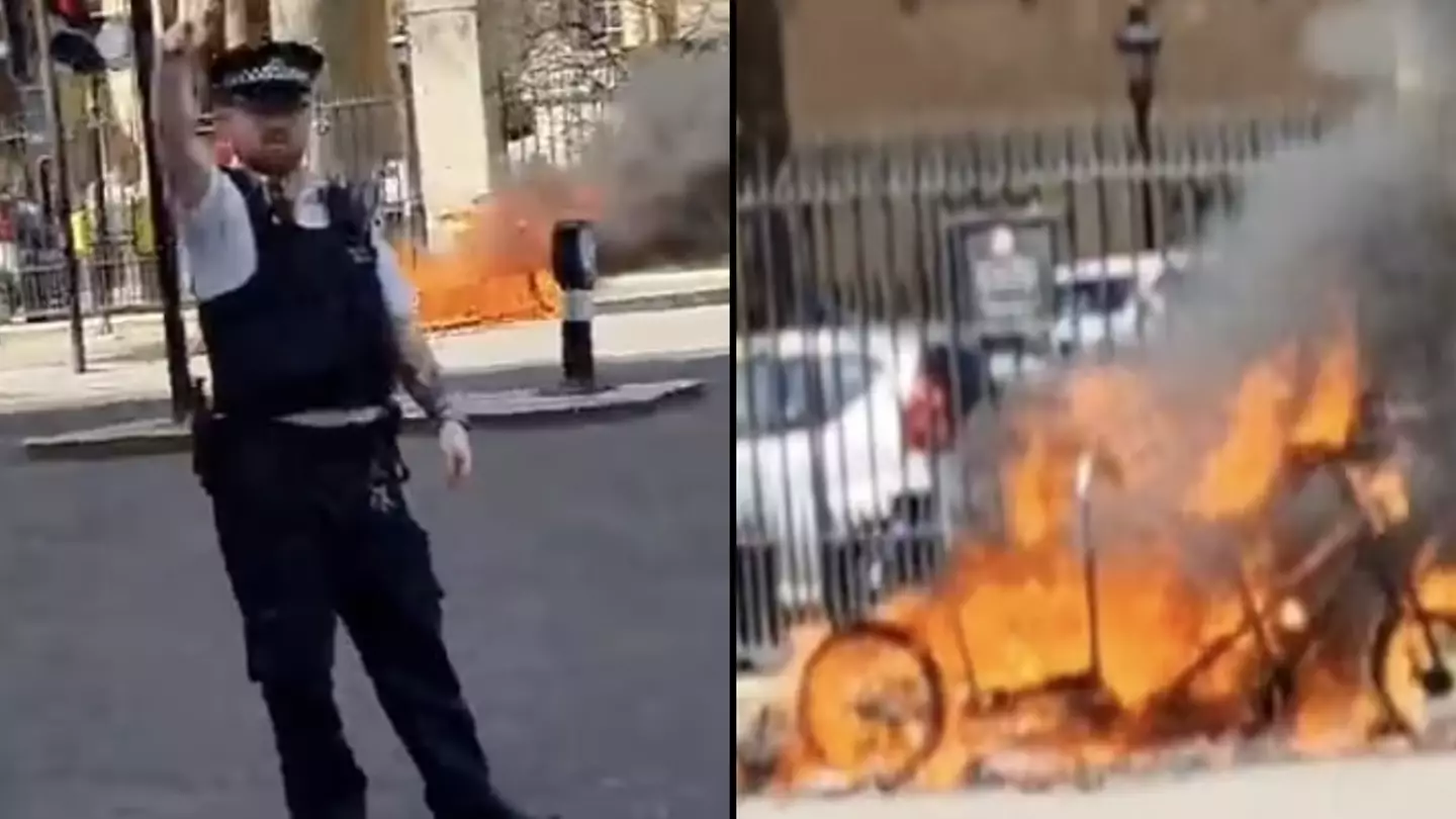Pedicab explodes in flames outside Buckingham Palace