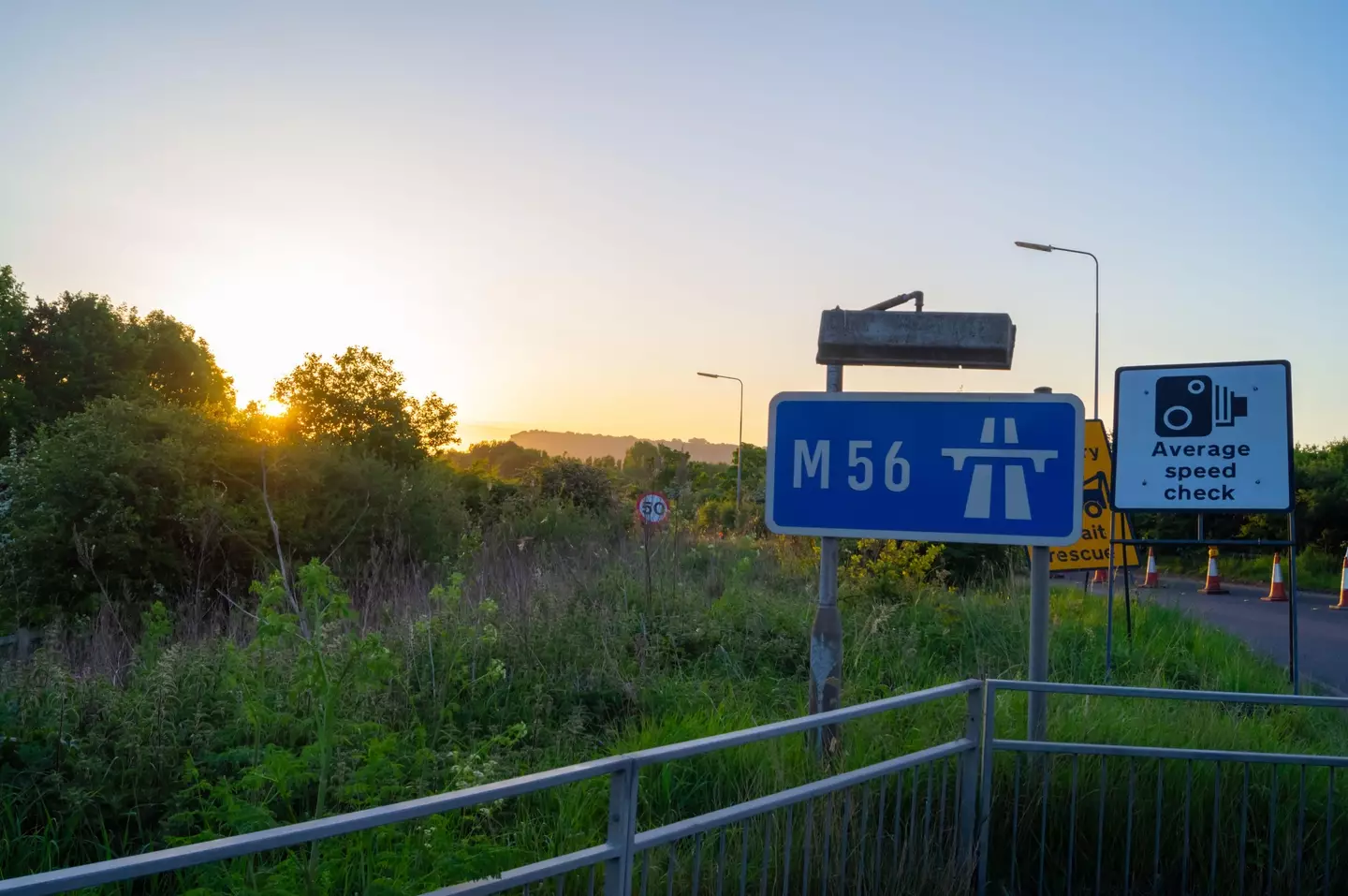 Tilston had been driving on the M56 when the horse escaped.
