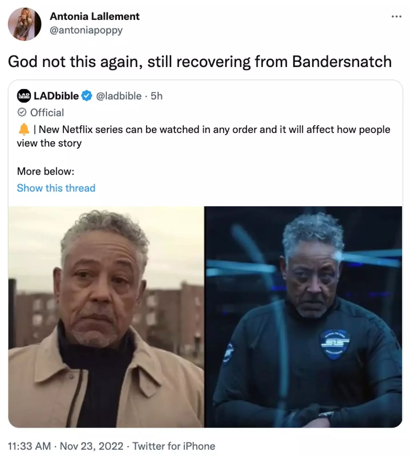 Some people are worried the series will be too similar to Bandersnatch.
