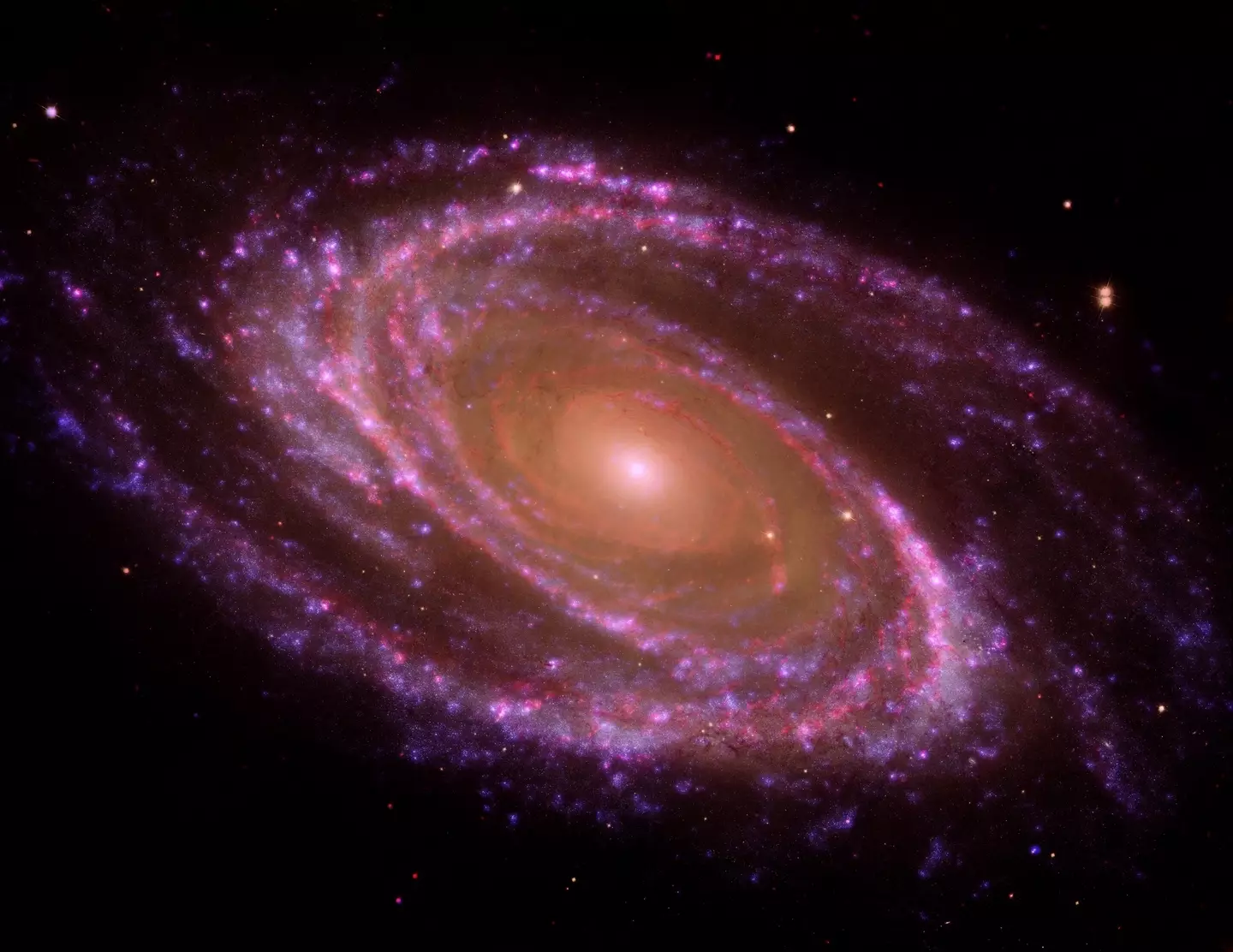 The spiral galaxy known as Messier 81, or M81, as seen from Hubble (Photo12/Universal Images Group via Getty Images)