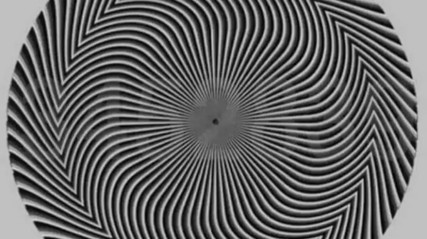 Optical illusions use colours, light and patterns to trick the brain into perceiving an image that differs from reality ((X/@benonwine)