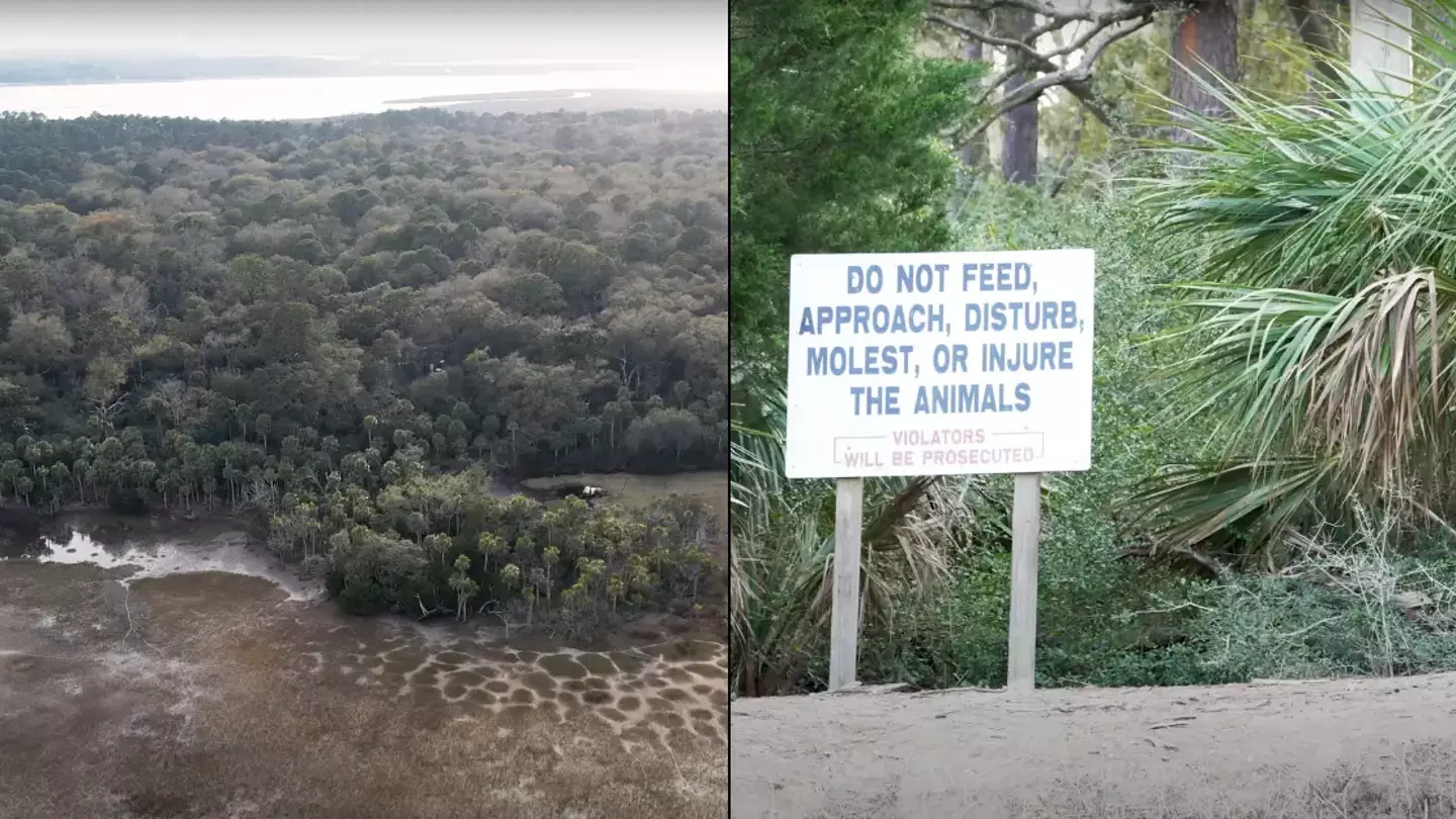 Terrifying reason you're not allowed to visit unassuming island off the coast of the USA