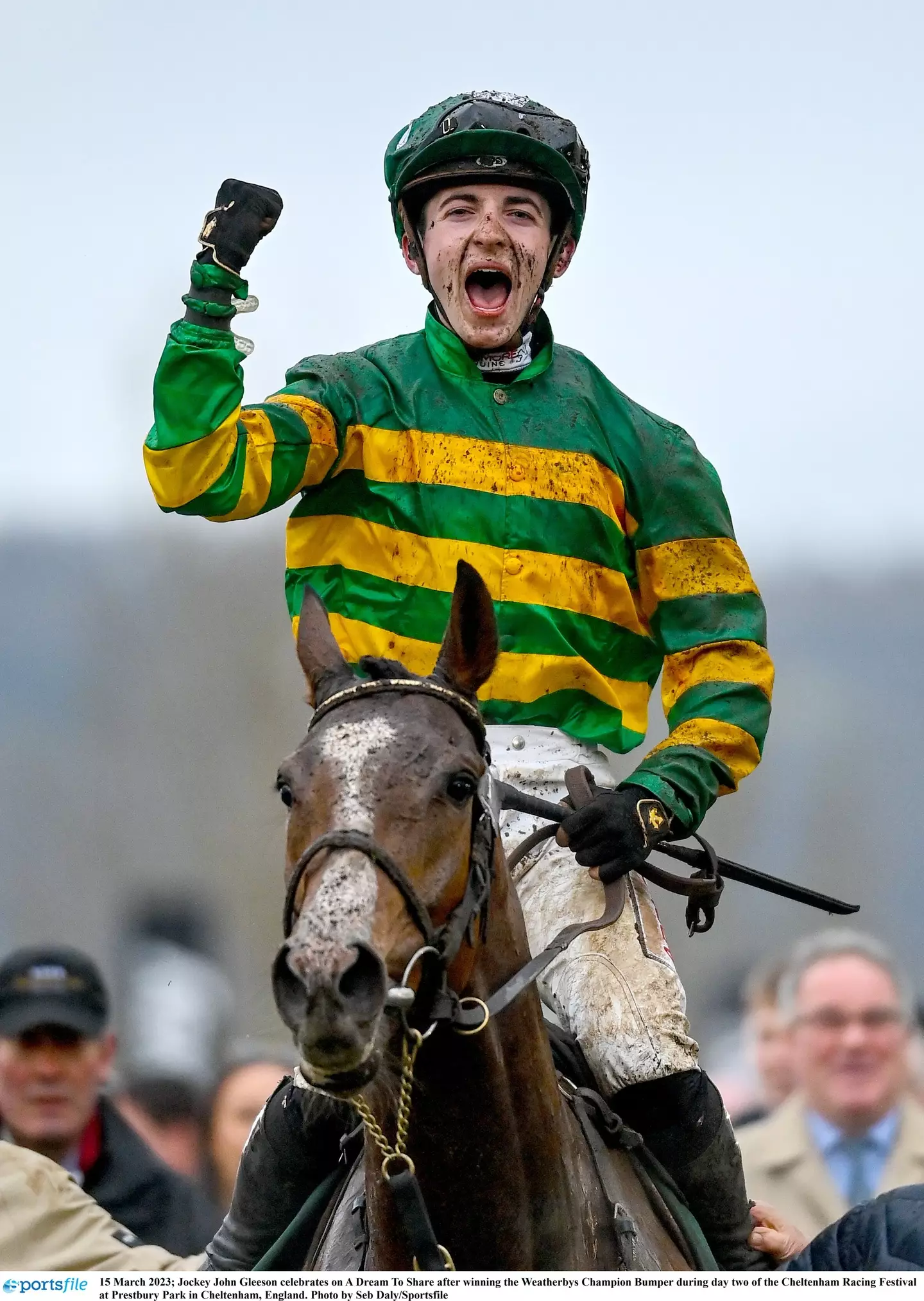 Sportsfile