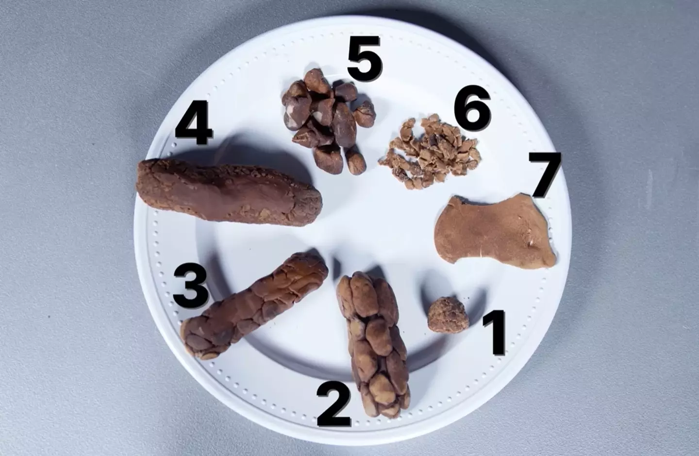 The doc brought in some visual aids to help you understand what you were looking at. Four is ideal, three and five are alright, the rest are a problem. (YouTube/DiaryOfACEO)