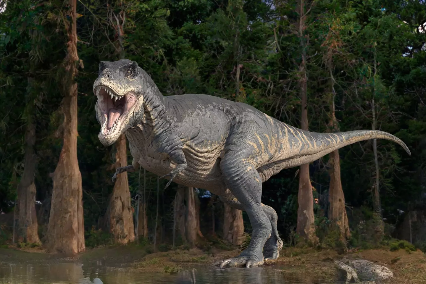 Dinosaur fossils have been found in every continent on Earth (Getty Stock Images/ Roger Harris/ Science Photo Library)
