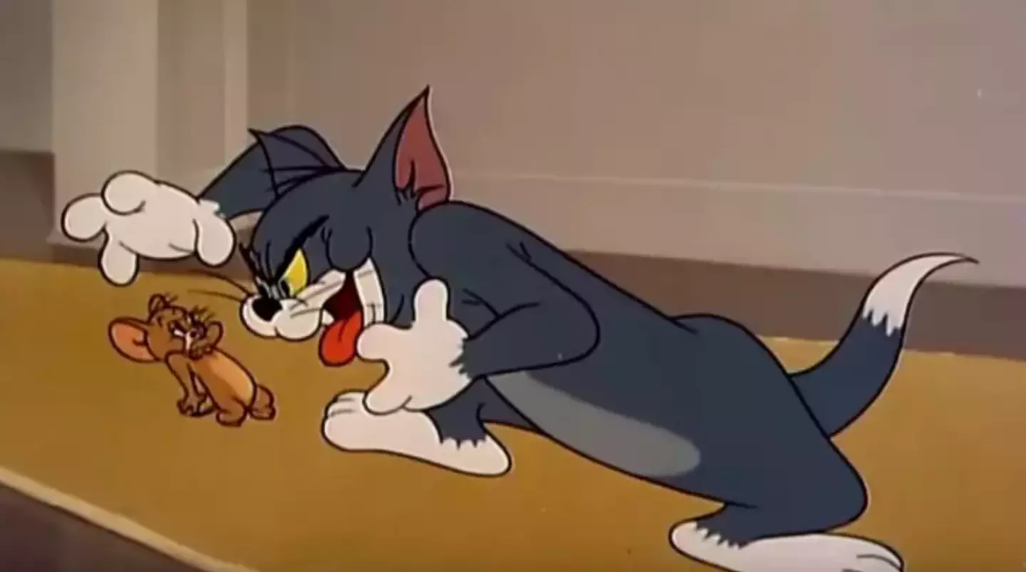 The much-loved cartoon featured in plenty of childhoods (Warner Bros.)