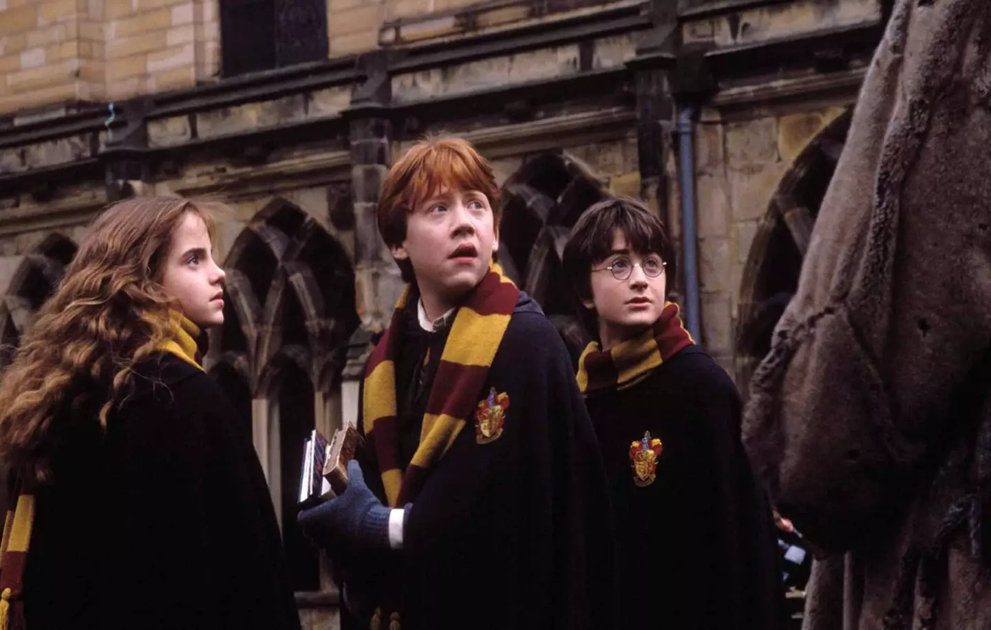 It turns out there's a lot of deleted scenes from the Harry Potter franchise!