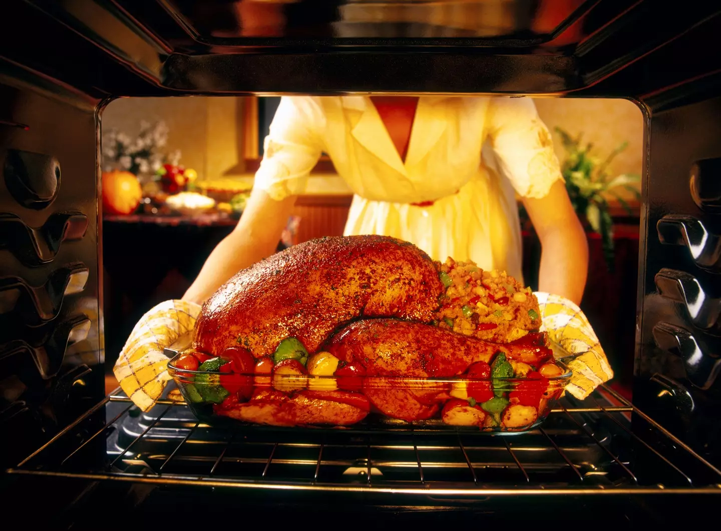 A turkey, an absolutely honking massive bird traditionally eaten at Christmas.