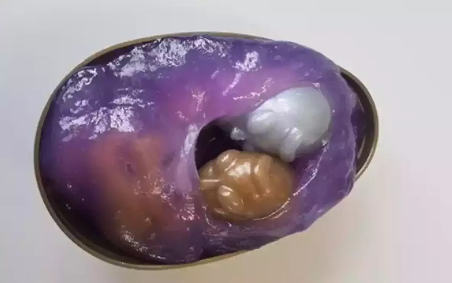 Truth behind whether Alien Egg toys could actually have babies as lad puts it to the test 1 Can they reproduce? (LADbible)