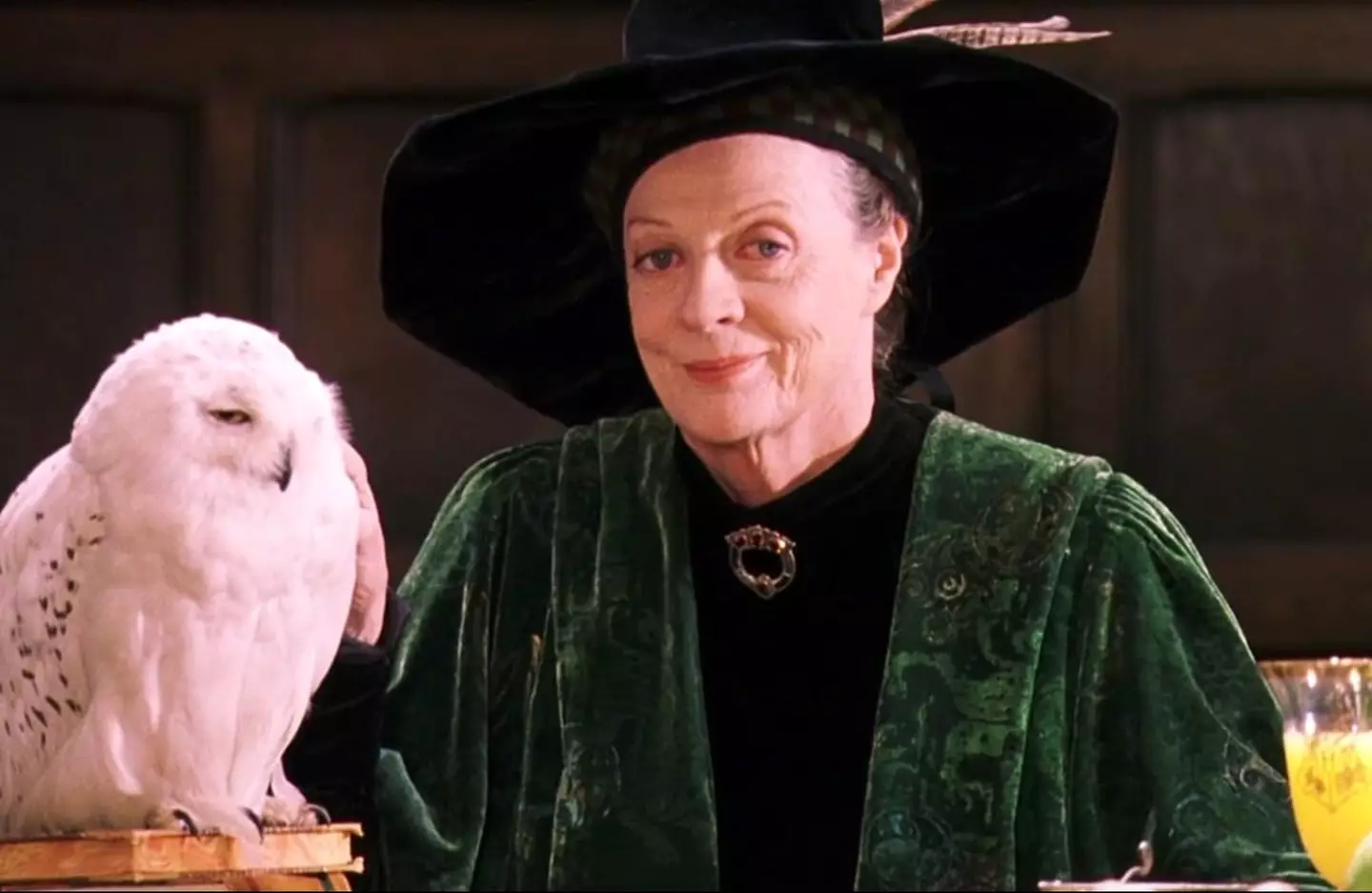 Dame Maggie Smith was well-known for a wide range of roles, including Professor McGonagall in Harry Potter (Warner Bros)