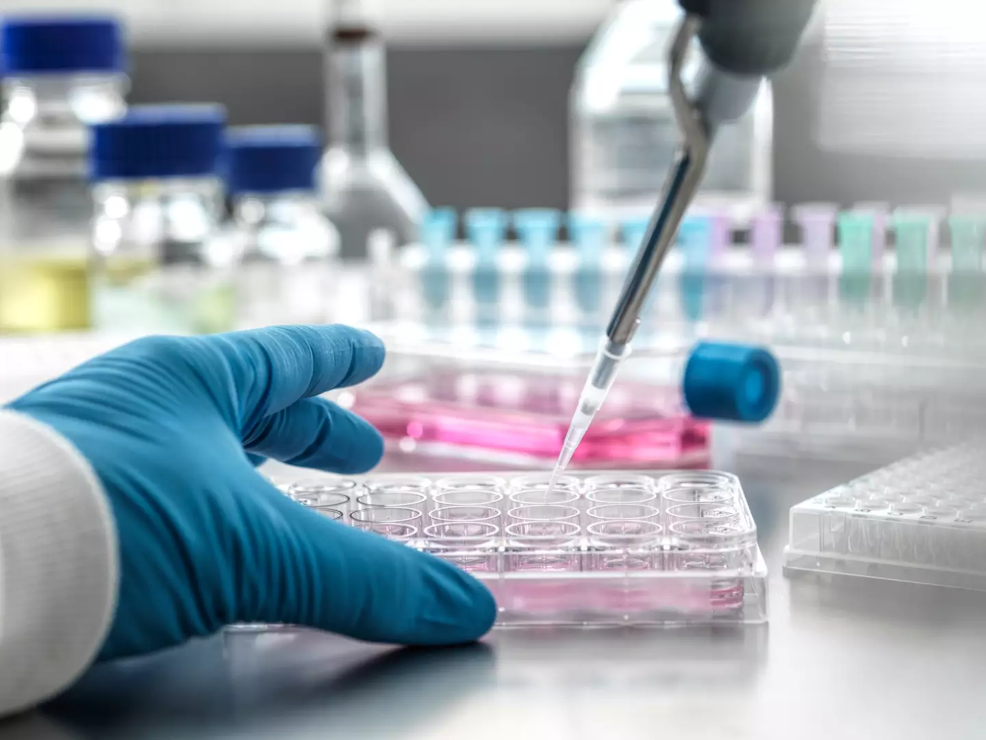 The scientific study could 'redefine death' (Getty Stock Image)